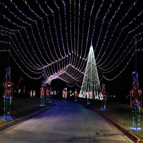 Christmas In The Park in College Station